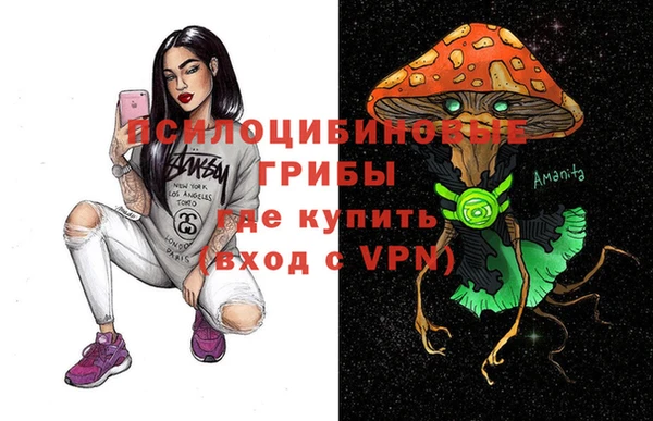 apvp Волосово