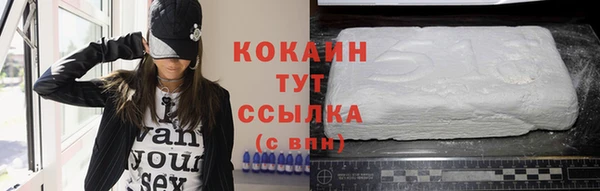 шишки Вяземский
