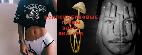 дмт Волоколамск